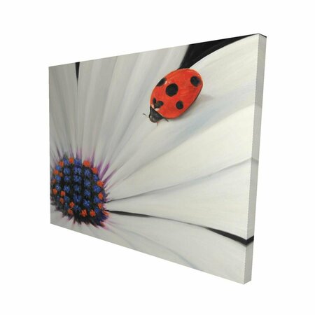 FONDO 16 x 20 in. White Daisy & Ladybug-Print on Canvas FO2792306